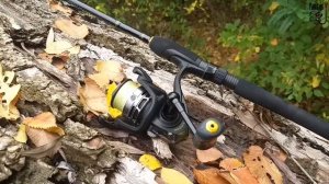 Рыбалка + Обзор Daiwa Legalis Jigger