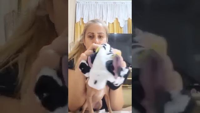 Руки убрала и не трогаешь меня больше смотреть онлайн