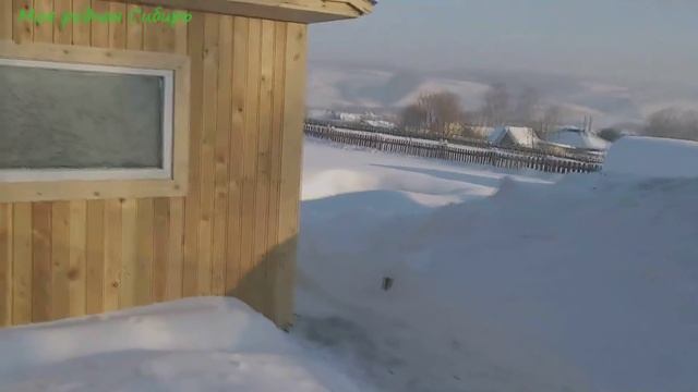 Петух в штанах запел! Ездили в город на машине, где были, что успели сделать? смотреть онлайн