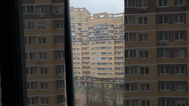 19 ноября 2023 г. смотреть онлайн