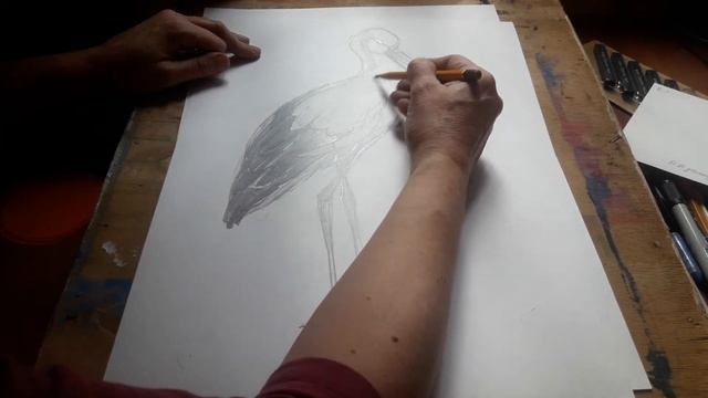 Рисуем аиста смотреть онлайн