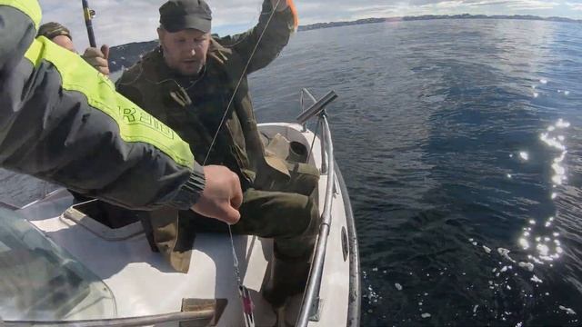 Морская рыбалка! Кильдин западный! Октябрь 2022г смотреть онлайн