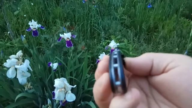 Старая добрая крыса. смотреть онлайн