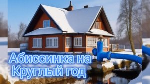 Абиссинская скважина на воду на круглый год