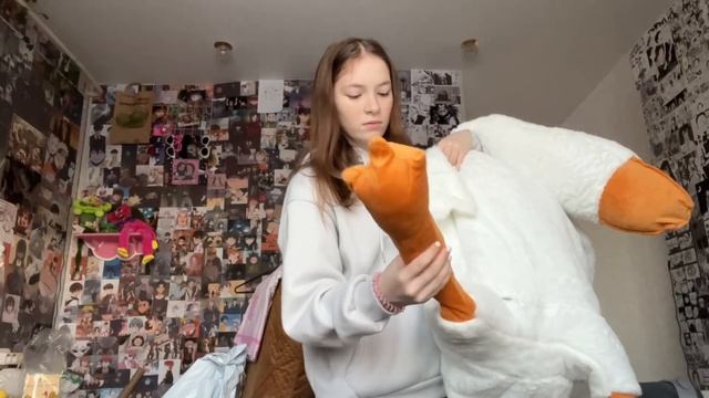 Распаковка гуся с озон