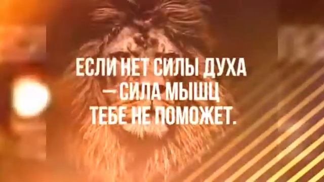 Пожелания в добрый путь, Эмина!!! смотреть онлайн