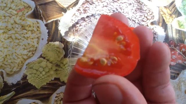 Томат "Грот". Дегустация смотреть онлайн