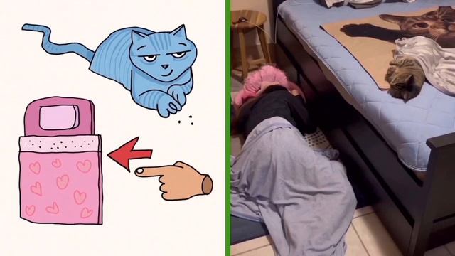 ?Drawing Meme cats #17 ?Halloween Meme Cats ?Cat Memes funny ?meme cat смотреть онлайн