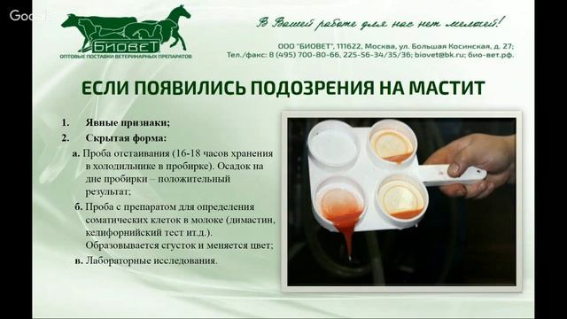Мастит