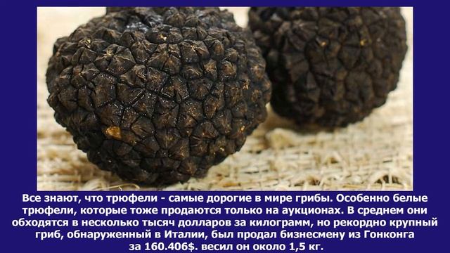 Интересные факты о самой дорогой еде. А вы знали об этом? Будь умным! смотреть онлайн