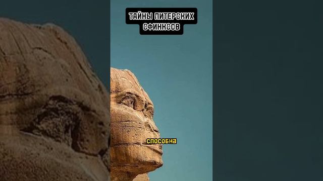 Зачем статуи сфинксов находятся в Питере #факты #тайныезнания #рекомендации #история смотреть онлайн