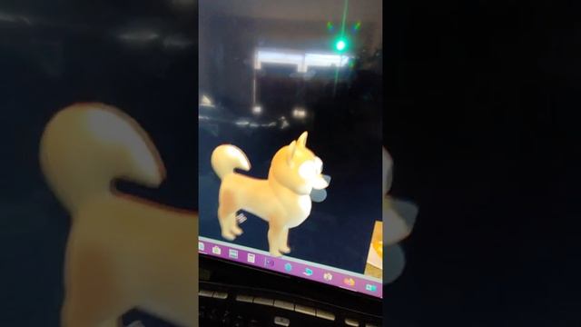 Doge VS 3D Doge PART 2!