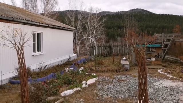 ??Посадка РОЗ ранней весной Подробно Обработка саженца Подготовка посадочной ямы Розы в саду Сибирь смотреть онлайн