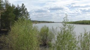 359. Урочище Темеряк. Мощное Место Силы, куда не просто попасть! Пожар не тронул Капище! Окунево.