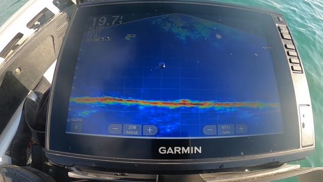 Jigging Walleye On The Detroit River With Garmin Livescope In Down View