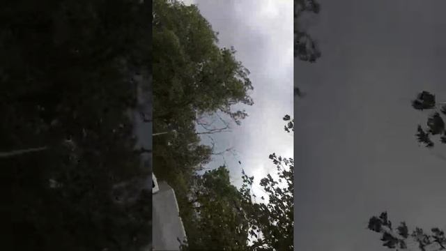 Шторм на Утёсе Степана Разина смотреть онлайн