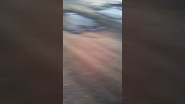 Так и живет раменский райнон печально смотреть онлайн