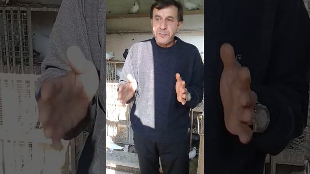 Совет от Гагика 23.СОРЕНОВАНИЕ 2017Г смотреть онлайн