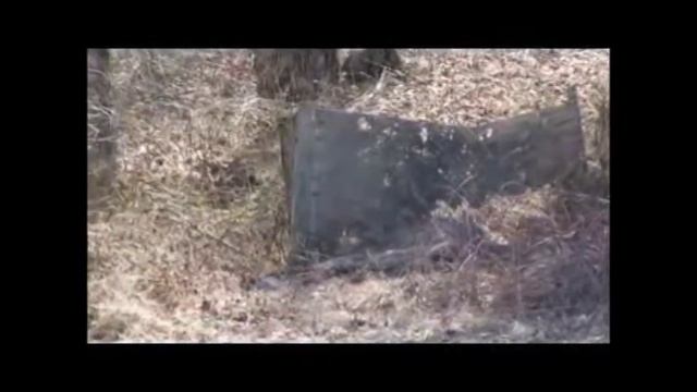 Canon PowerShot SX160 IS