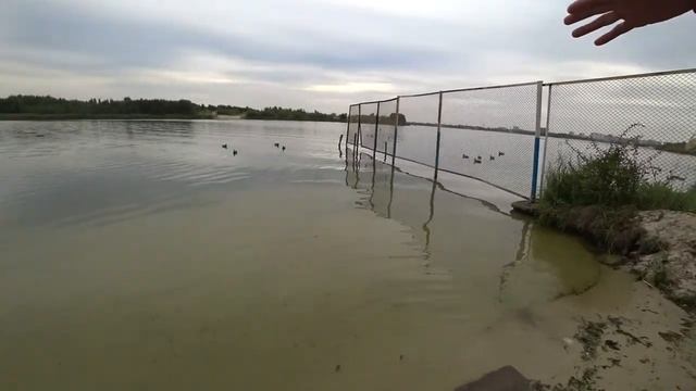 ОБЗОР ВОРОНЕЖА, ПЛЯЖ САНАТОРИЯ ИМ.ГОРЬКОГО, ДАЧА ШНЮКОВЫХ смотреть онлайн