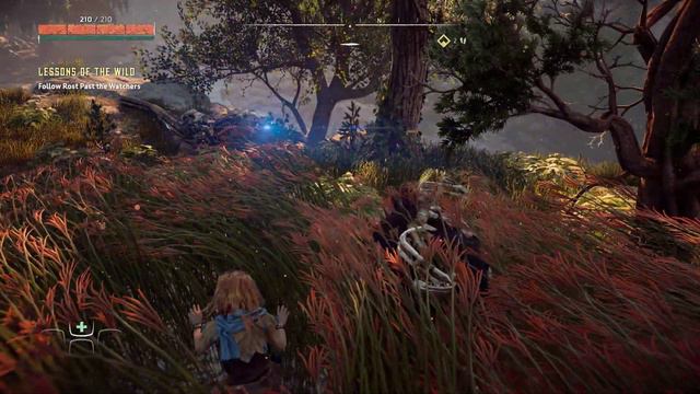 Horizon Zero Dawn Complete Edition Gameplay (2024) смотреть онлайн