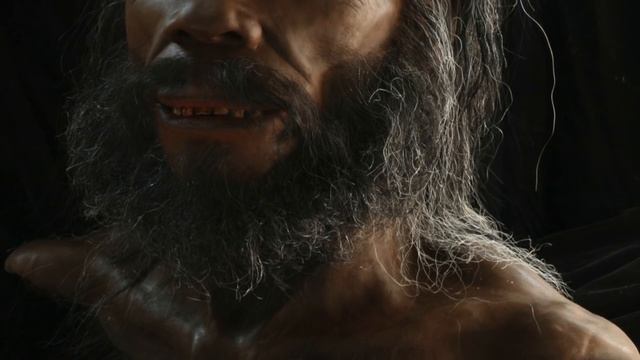 Как появился человек? Все теории его происхождения смотреть онлайн