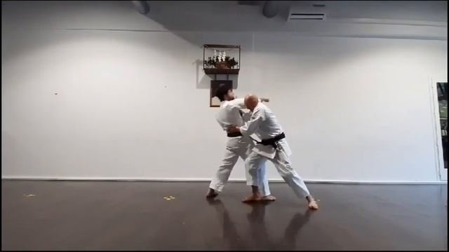 Kumite Kata 1-5 | Wadoryu Jujutsu Kempo | Wadoryu Karate смотреть онлайн
