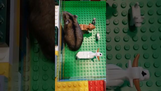 Смешные хомячки. Забавные животные. Хомячок играет в лего. Hamster plays lego. смотреть онлайн