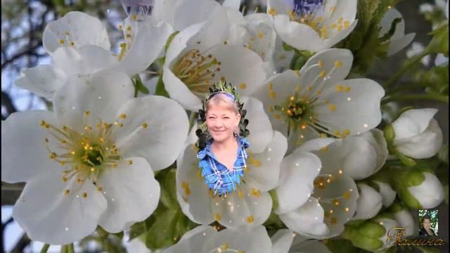 СИЛЬНАЯ ЖЕНЩИНА 2