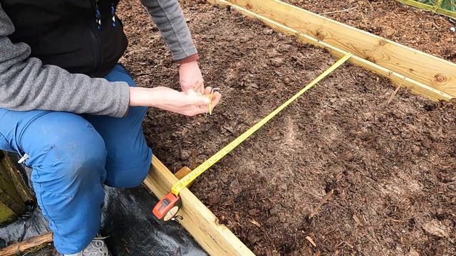 Allotment Diary : Planting out this years No Dig Garlic смотреть онлайн