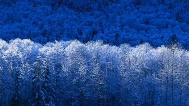 Лунная соната.wmv смотреть онлайн