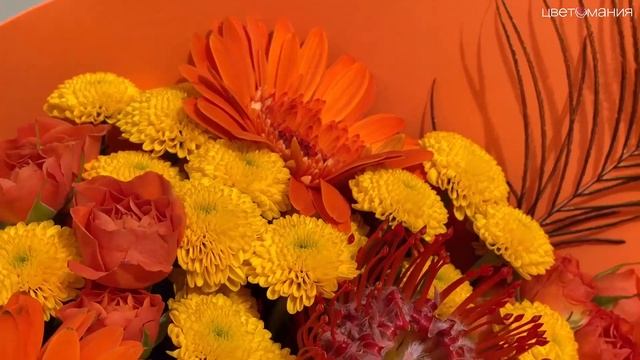 Обзор букета 