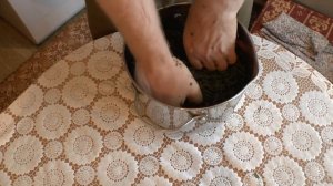 Ферментация_ Иван чая_(Копорский чай) своими руками в домашних условиях.