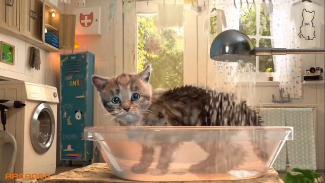 Lindo Gatito Aventuras - Educación De Animación Dibujos Animados | Capítulo 2