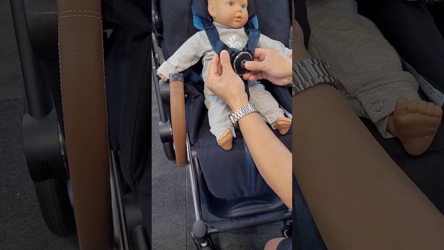 Cybex Priam harness is amazing смотреть онлайн