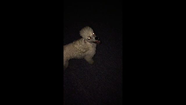 Мой Любимый Мячик💕 смотреть онлайн