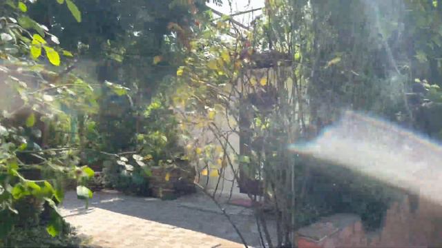 Замок у моря…🏰 смотреть онлайн