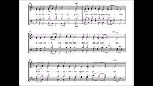 Во царствии Твоем -  Мироносицкий.  Исполняет хор храма свято Петро - Павловского собора.