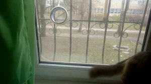 как уберечь окна от ударной волны и авиоударов