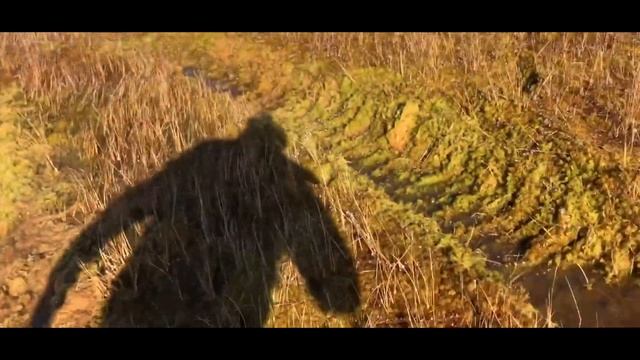 НА БОЛОТО ЗА КЛЮКВОЙ НА КАРАКАТЕ смотреть онлайн