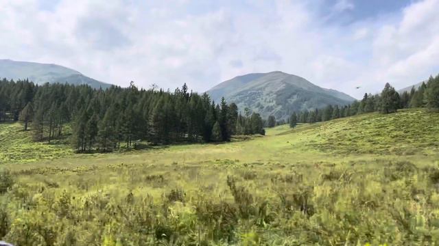 TLC 105 GX.Старая Австрийская дорога. Катон - Карагай. Южный Алтай. Kazakhstan. The roads. Nature смотреть онлайн