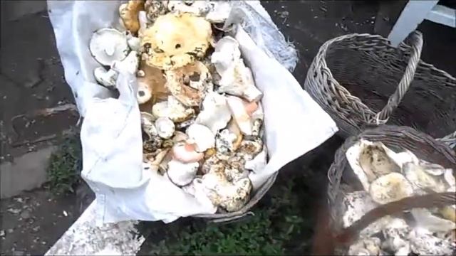 Мы живем в деревне! смотреть онлайн