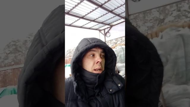 Untitled video смотреть онлайн