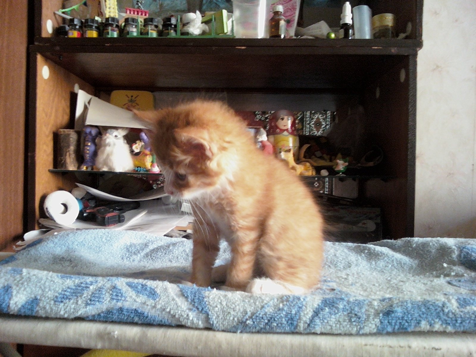 Просто наглое маленькое солнышко