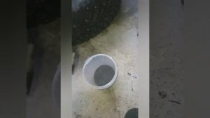 Mercedes w210 АБСОРБЕР паров бензина одна из проблем запаха