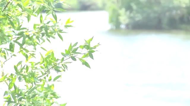 26 05 2017 Полиция Дивеево. Герои