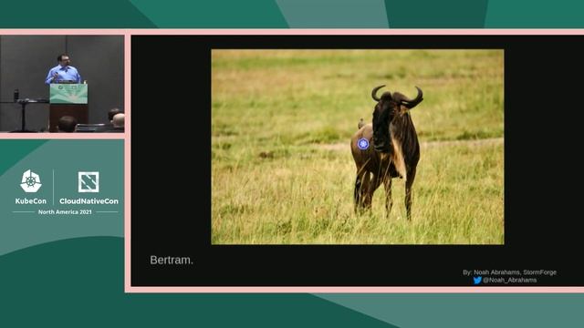 A Safari of Kubernetes and its Natural Habitat - Noah Abrahams, StormForge смотреть онлайн
