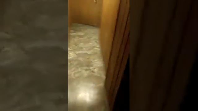 Работа в Польше завод LG для казахстанцев. Карантин 10 дней смотреть онлайн