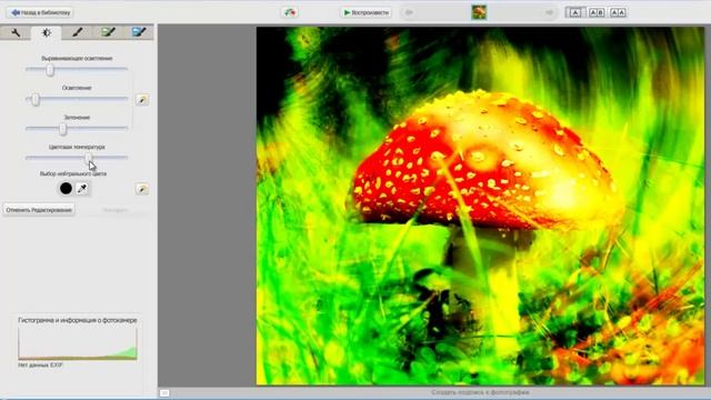 Picasa – бесплатный фоторедактор от Google смотреть онлайн