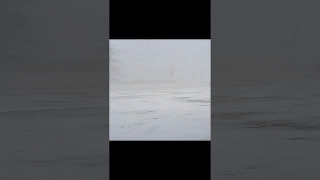 Ураган в Красноярске